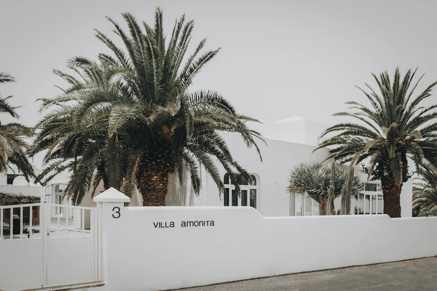 White walls and palms at Villa Amonita