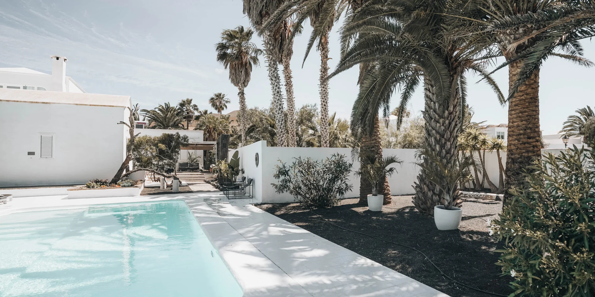 The private pool and palm-filled garden at Villa Amonita